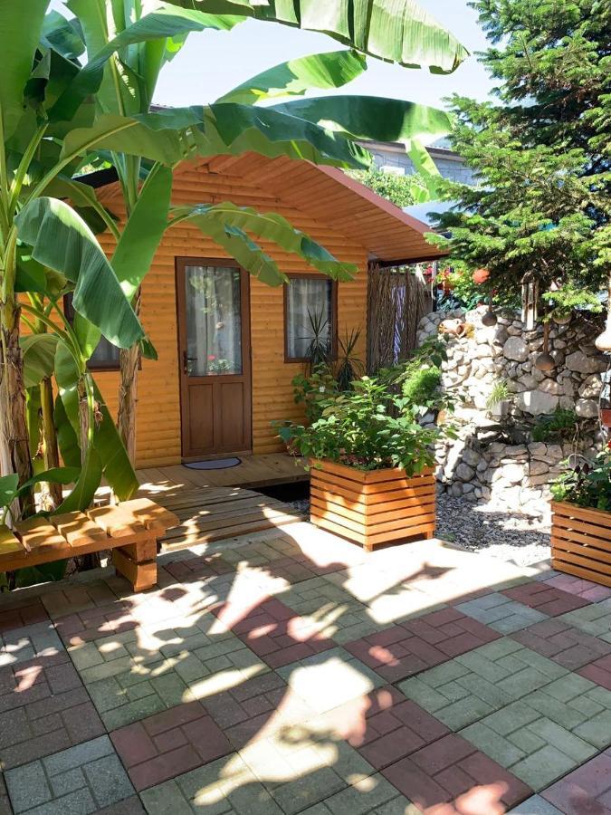 Гостевой Дом У Левы Hotel Gagra Exterior photo