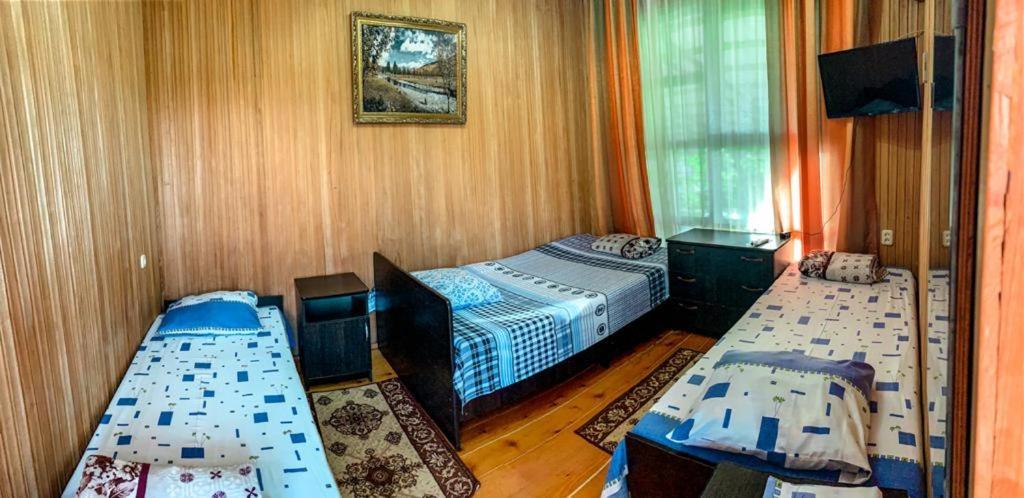 Гостевой Дом У Левы Hotel Gagra Exterior photo